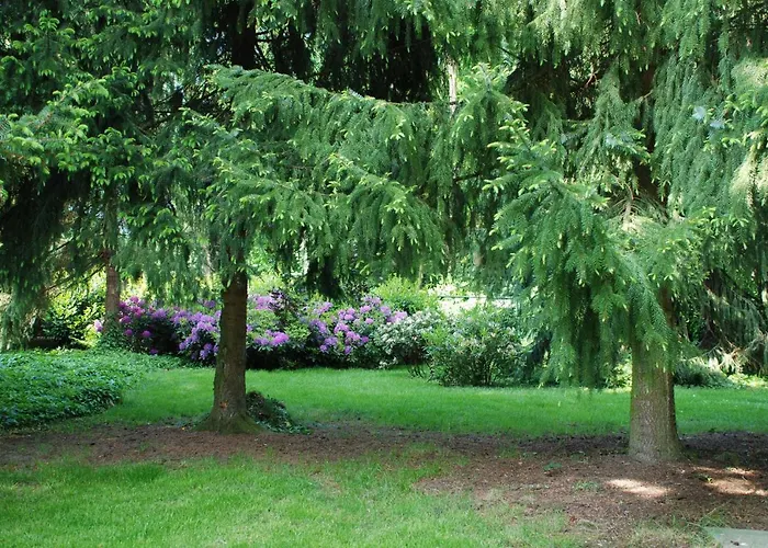 度假居 De Vorster Pastorie *